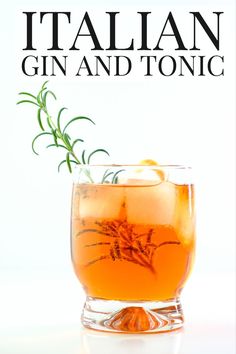 an italian gin and tonic cocktail with rosemary garnish