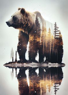 a brown bear standing on top of a lake surrounded by trees and water with its reflection in the water