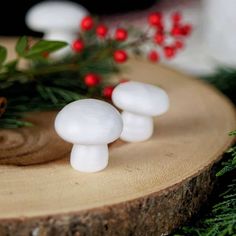 three small white mushrooms sitting on top of a tree stump next to berries and greenery