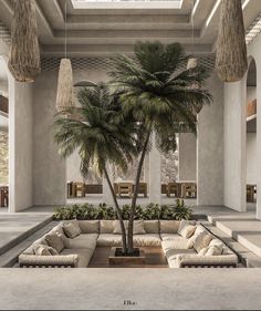 a palm tree in the middle of a living room with couches and lamps hanging from the ceiling