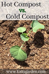 two plants growing out of the ground with text overlay that reads how to grow hot compost vs cold compost