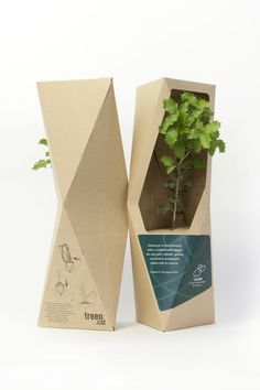 a plant in a cardboard box on a white background