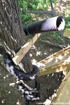 a large pipe attached to the side of a tree