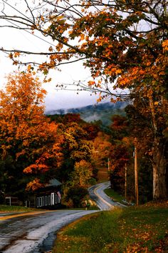 an empty road surrounded by trees with fall foliage