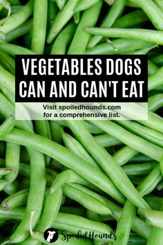 green beans with the text can dogs eat green beans? visit spoileds com for the answer & vegetables list