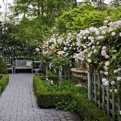 a brick walkway leads to a garden with roses growing on the fence and bushes around it