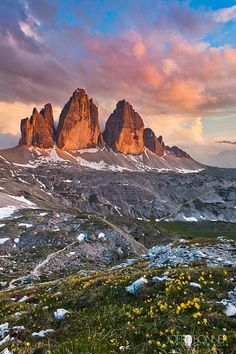 the mountains are covered in snow and yellow wildflowers as the sun sets over them