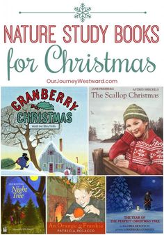 children's books about christmas with the title nature study books for christmas