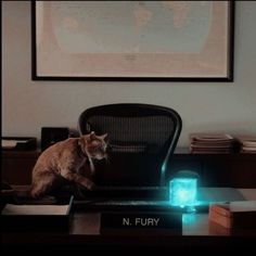 a cat sitting on top of a desk next to a chair