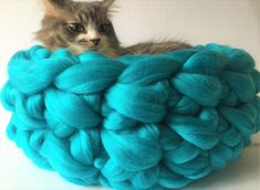 a cat is sitting in a large ball of yarn that looks like it has been dyed blue