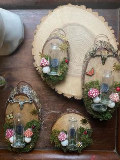 three glass jars with plants and mushrooms in them on a wooden shelf next to other items