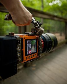 a person is holding a camera on a wooden bridge with trees in the back ground