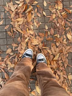 the person is standing in front of leaves on the ground with their feet up and shoes down