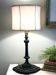 a lamp sitting on top of a table next to a potted plant and books