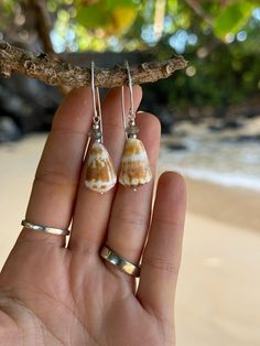 a person is holding two small seashells in their hand