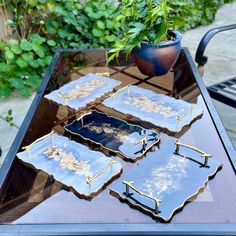 four trays sitting on top of a table next to a potted plant