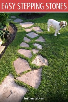 an easy step - by - step guide to building stepping stones for dogs and cats