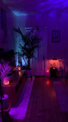 a living room filled with furniture and purple lighting on the walls, along with potted plants