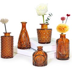 five vases with flowers in them sitting on top of a white book and some books