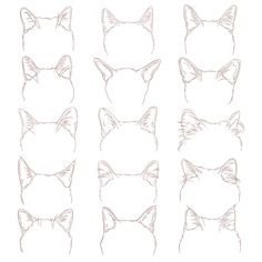 six different angles of the cat's head in various positions, including their eyes and ears