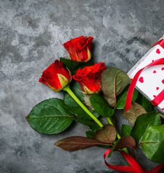 two red roses and a wrapped present on a gray surface with a red ribbon around it