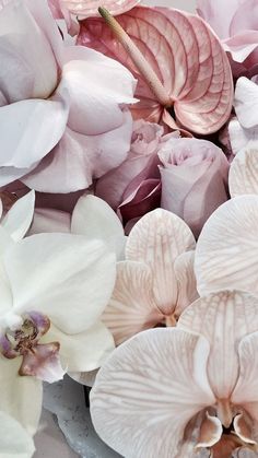 some pink and white flowers are in a bowl