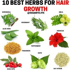 Herbs for Hair Growth👇🔥💚 . Tag someone who needs to see this🙏 . What is your favorite hair growth herb on the list? Comment below? . There… | Instagram Herbs That Help Hair Growth, Herbs Good For Hair Growth, Herb For Hair Growth, Indian Herbs For Hair Growth, Scalp Care For Hair Growth, Teas For Hair Growth, Herbs Hair Growth, Hair Growth Herbs, Hair Herbs