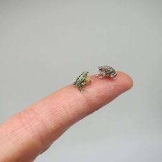 a tiny frog sitting on top of a persons finger