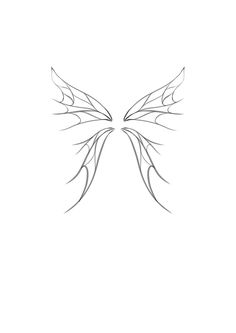 the outline of a bird's wings on a white background