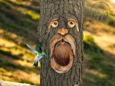 a bird flying past a tree with a face carved into it's trunk and mouth