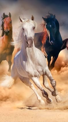 three horses are running in the sand and cloudy sky behind them, with one horse looking at the camera