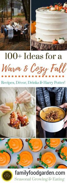 the cover of 100 + ideas for a warm & cozy fall dessert, drink and party