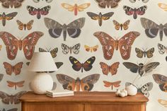 a dresser with a lamp on it next to a butterfly wallpaper