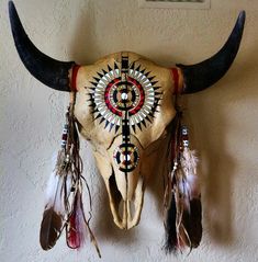 an animal skull with feathers hanging on the wall