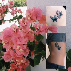 some pink flowers and green leaves on a white wall