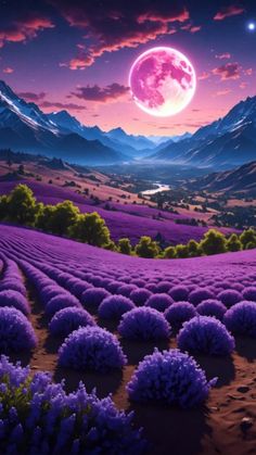 a painting of lavender fields at night with the moon in the sky and mountains behind it