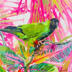 Oil painting of Nanday parakeet with background croton leaves Candy Striper, Mermaid Dreams, Fine Art Painting Oil, Shop Art, Art Oil, Figurative Art, Bird Art, Female Artists