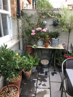 several potted plants on a small patio