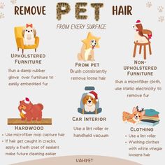 an info sheet describing how to remove pet hair from every surface, including cats and dogs