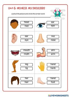 body parts worksheet for kids to learn about the body and how they use it