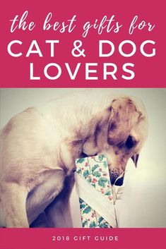 the best gifts for cat and dog lovers