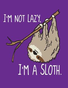 a slotty hanging from a branch with the words i'm not lazy, i'm a sloth