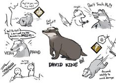 an animal with many different expressions on it's face, including the words david king