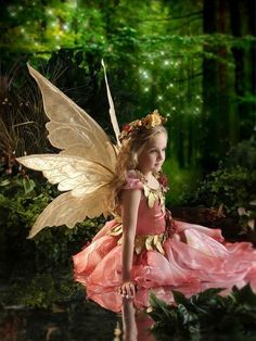 Fairy Photography, Fairy Photoshoot, Costume Carnaval, Fairies Photos, Farm Photography, Fairy Dresses, Fairy Wedding, Fairy Parties