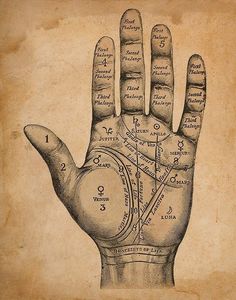 Palmistry Hand | Palmistry Print | Palm Reading | Fortune Teller Print | Palm Reader | Palmistry Poster | Hand Reading | 11x14 Poster Print Palm Reading Charts, Supernatural Gifts, Palmistry Hand, Palm Reader, Palm Reading, Fortune Telling, Horse Designs, A4 Poster