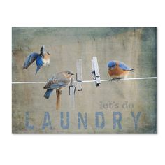 three birds sitting on top of a wooden pole next to a sign that says, let's do laundry