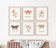 a baby's room with four butterfly prints on the wall