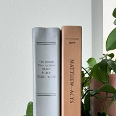 two books sitting next to each other on top of a wooden shelf near a potted plant