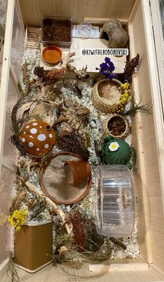 a wooden box filled with lots of different types of plants and animals inside of it