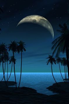 palm trees and the moon are silhouetted against a night sky with stars over water